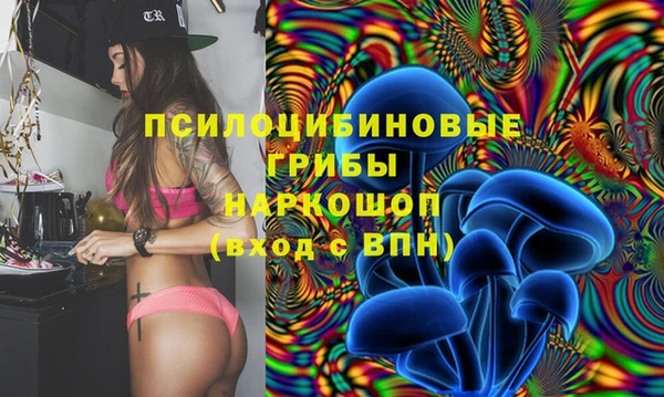 гидропоника Михайловка