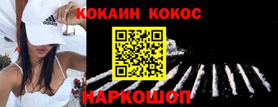 стаф Дубна