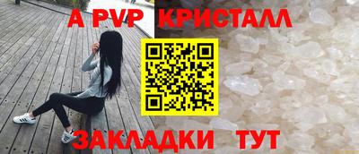 стаф Дубна