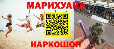 стаф Дубна