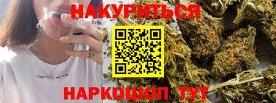 стаф Дубна