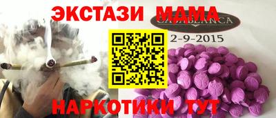 стаф Дубна