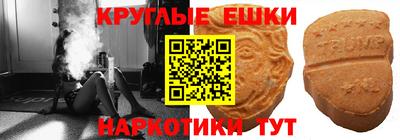 стаф Дубна