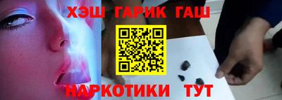 стаф Дубна