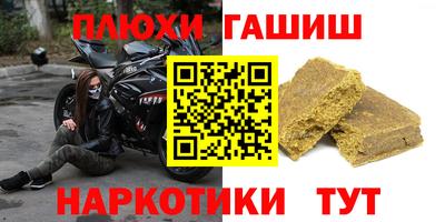 стаф Дубна