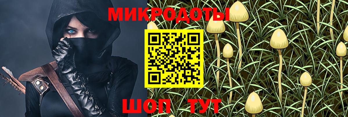 Галлюциногенные грибы Psilocybe  Вход с VPN  Новоалександровск 