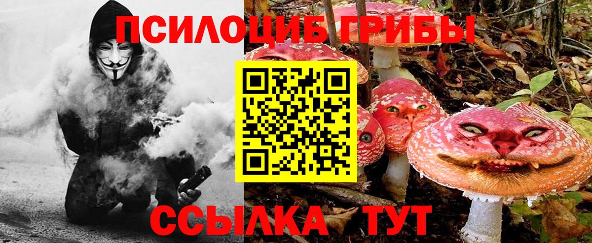 Псилоцибиновые грибы мухоморы Новоалександровск