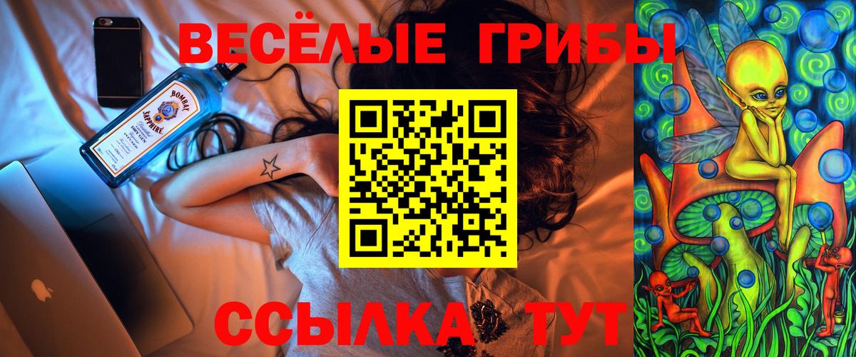 Марихуана  APVP СК   МЕФ кристаллы  ТГК  Вход с VPN  LSD-25  Новоалександровск  Кокаин  ГАШ 